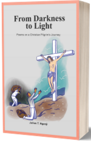 Book cover of From Darkness to Light