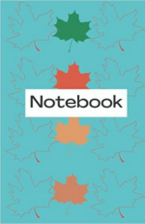 120 lined pages notebook
